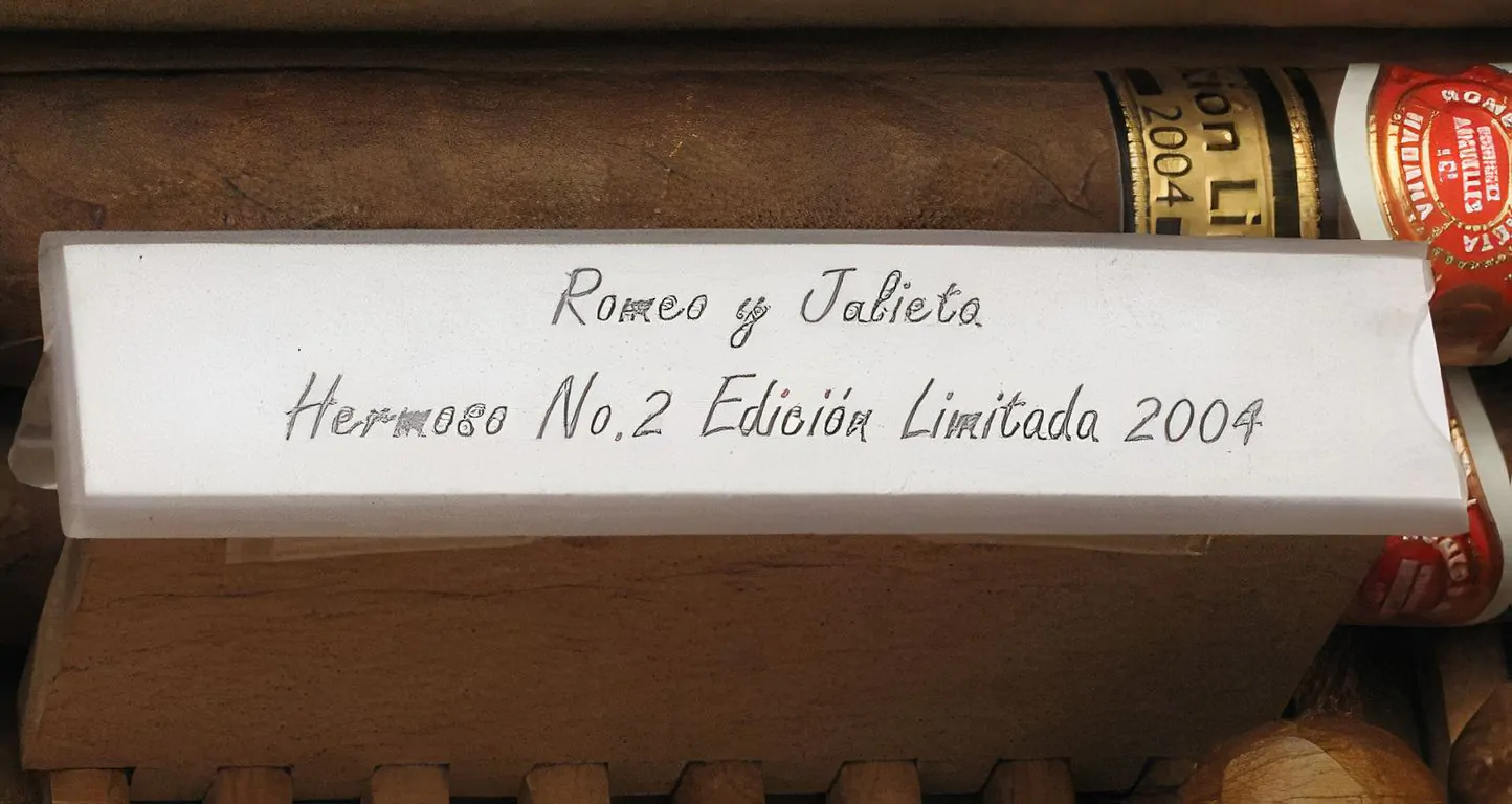 adorini Divider Label Clip Buy at best price 139 Reviews