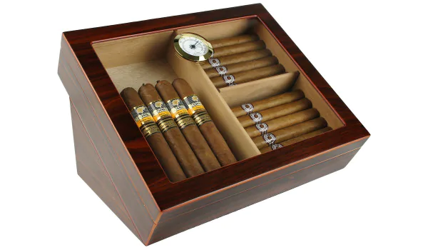 Display Humidor angled