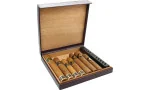 Пътнически хумидор Bulldog by Dunhill 10 лилав