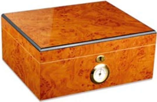 Palermo Cigar Humidor Basic Edition