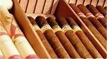 How do I set up the humidor?